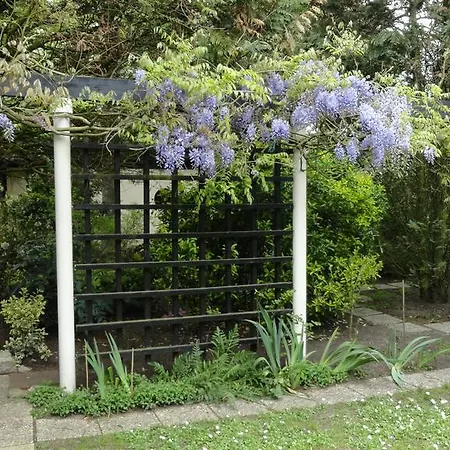 Garden Studio Apartment