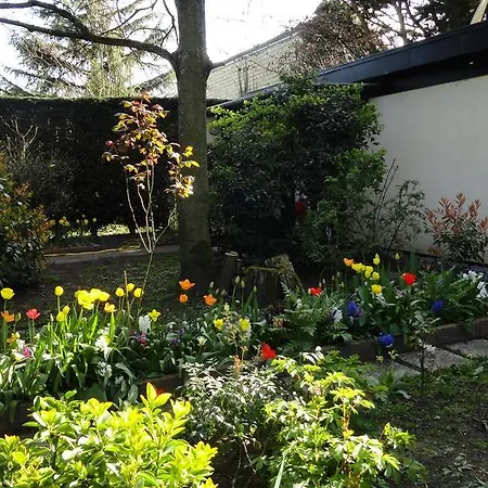 Garden Studio